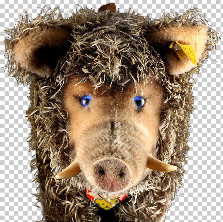 Cattle Animal Snout Mammal PNG, Clipart, Animal, Animals, Boar, Cattle, Cattle Like Mammal Free PNG Download