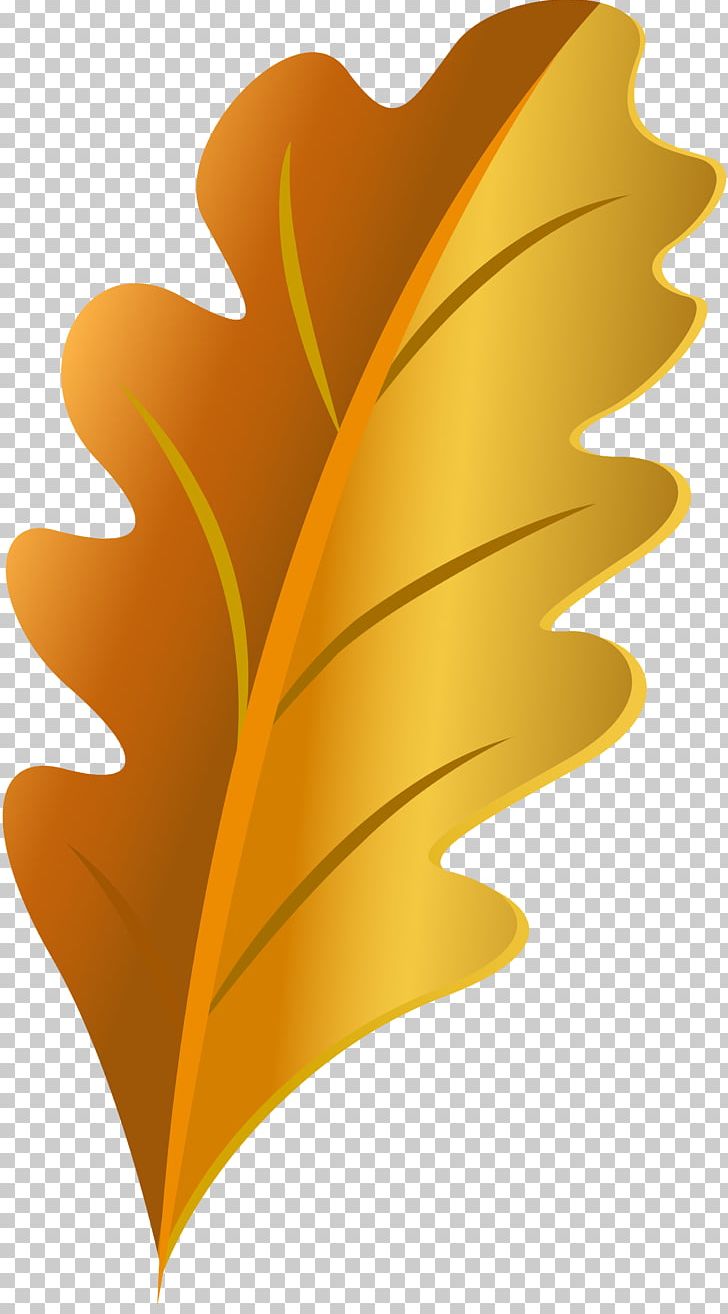 Leaf Petal Flower Yellow PNG, Clipart, Flower, Leaf, Leaves, Nature, Petal Free PNG Download