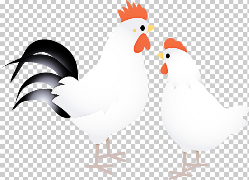 Chicken Rooster Bird Beak Comb PNG, Clipart, Beak, Bird, Chicken, Comb, Fowl Free PNG Download