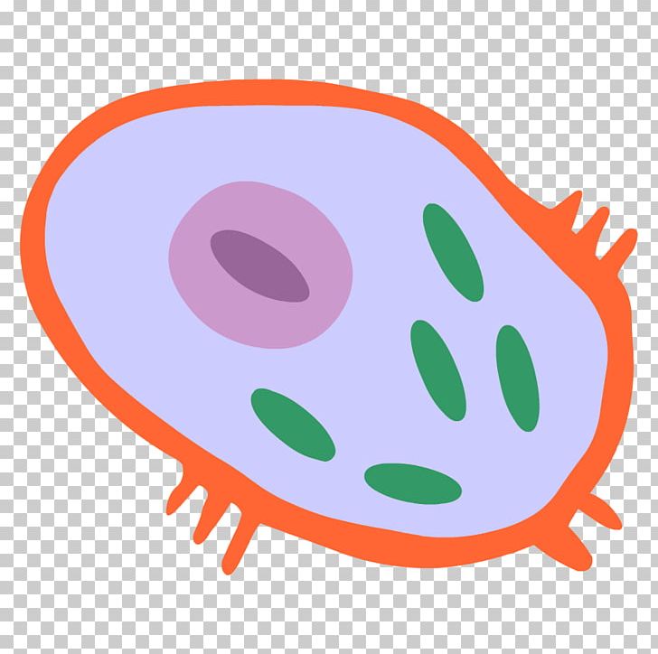 cytoplasm clipart