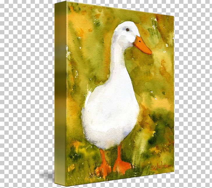 Duck Goose American Pekin German Pekin Painting PNG, Clipart, American Pekin, Art, Beak, Bird, Duck Free PNG Download