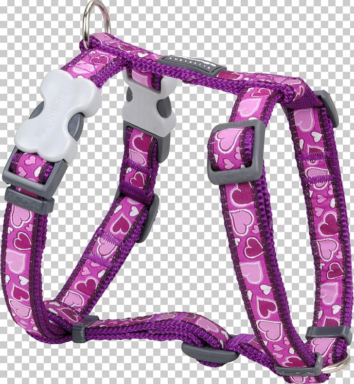 Dog Harness Dingo Puppy Dog Collar PNG, Clipart, Animals, Breezy, Collar, Collie, Dingo Free PNG Download