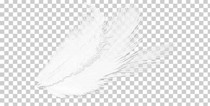 Feather White Drawing /m/02csf PNG, Clipart, Animals, Bird, Black And White, Drawing, Feather Free PNG Download