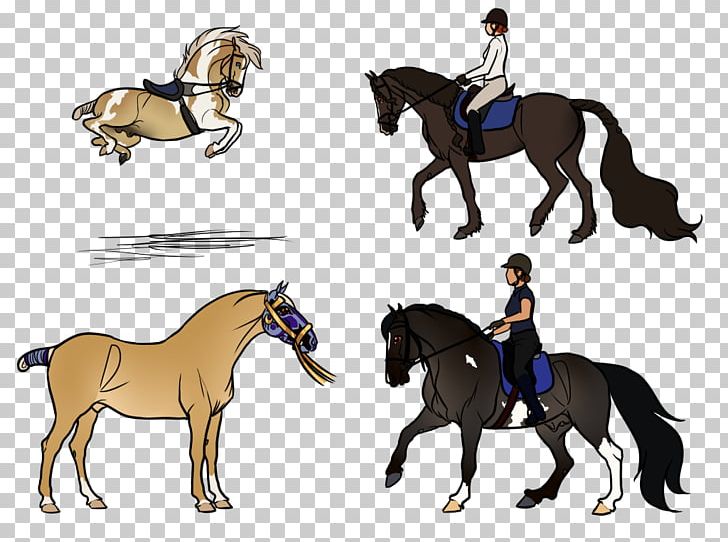 Mustang Equestrian English Riding Rein Stallion PNG, Clipart, Bit, Bridle, English Riding, Equestrian, Equestrianism Free PNG Download