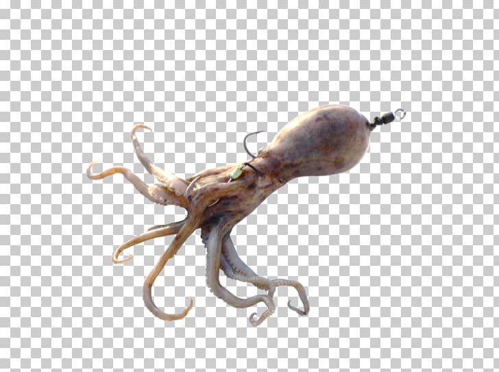 Octopus Squid Surf Fishing Bait PNG, Clipart, Bait, Bass, Cephalopod, Decapodiformes, Fireball Free PNG Download