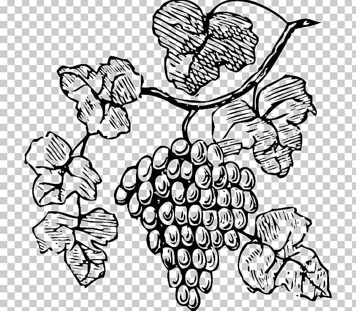 Wine Common Grape Vine Champagne PNG, Clipart, Black And White, Branch, Bread, Circl, Coloring Book Free PNG Download