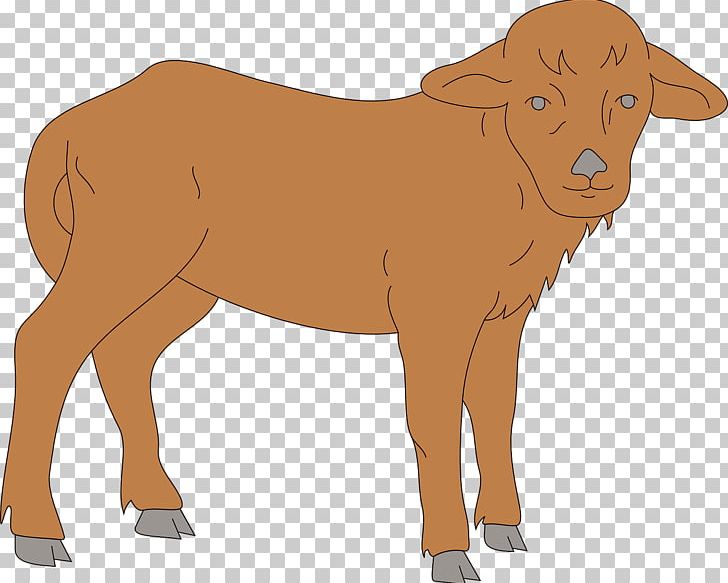 Calf Cattle PNG, Clipart, Animal, Animals, Big Cats, Brown, Carnivoran Free PNG Download