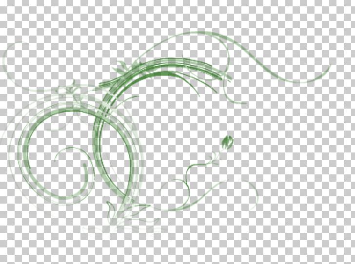 Drawing Leaf PNG, Clipart, Animal, Artwork, Circle, Computer, Computer Wallpaper Free PNG Download