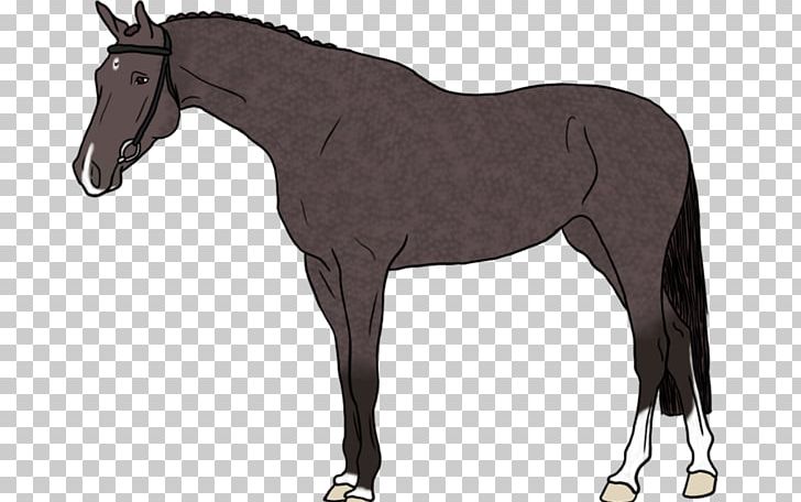 Foal Mane Stallion Pony Mustang PNG, Clipart, Bridle, Colt, English Riding, Equestrian Sport, Foal Free PNG Download