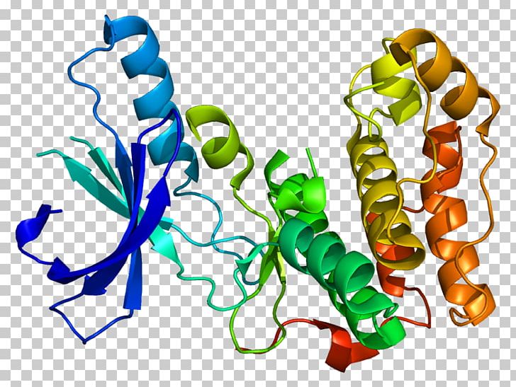 Serine/threonine-specific Protein Kinase Enzyme PNG, Clipart, Artwork, Cell Cycle, Centrosome, Enzyme, Enzyme Substrate Free PNG Download