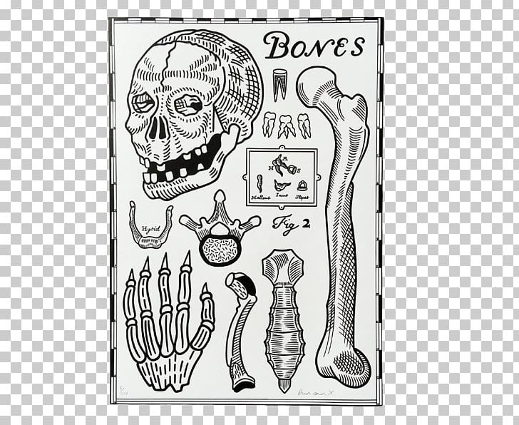 Homo Sapiens Visual Arts Human Behavior Sketch PNG, Clipart, Art, Behavior, Black And White, Bone, Bones Prints Free PNG Download