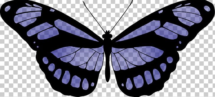 Butterfly Color PNG, Clipart, Arthropod, Brush Footed Butterfly, Butterfly, Color, Gulf Fritillary Free PNG Download