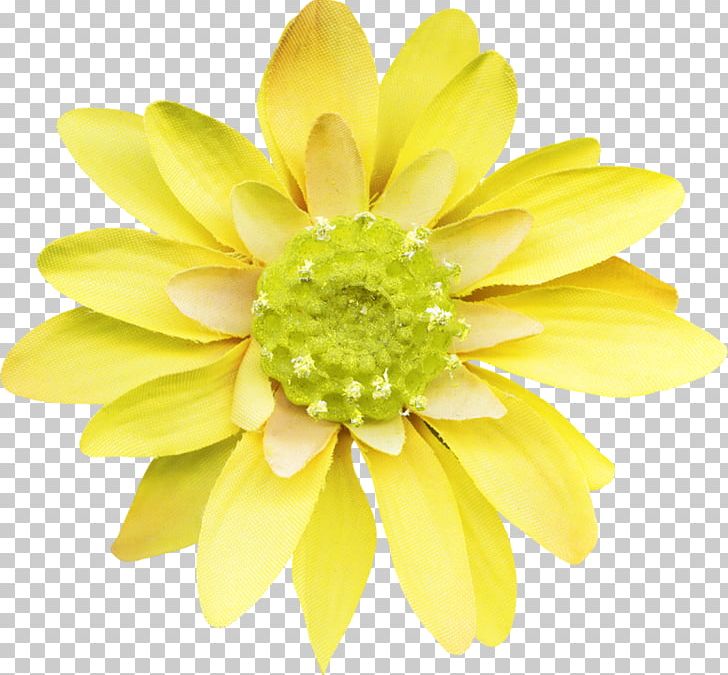 Flower Stock Photography Painting PNG, Clipart, Advertising, Chrysanthemum, Chrysanths, Cut Flowers, Daisy Family Free PNG Download