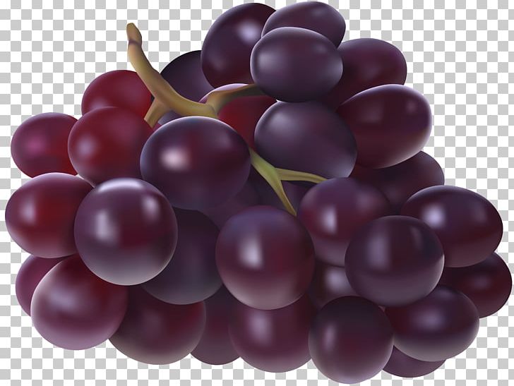 Juice Grape Fruit PNG, Clipart, Berry, Bottle, Clipart, Clip Art, Cranberry Free PNG Download