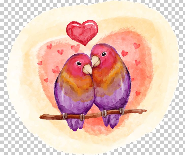 Lovebird Valentines Day PNG, Clipart, Animals, Art, Beak, Bird, Color Free PNG Download