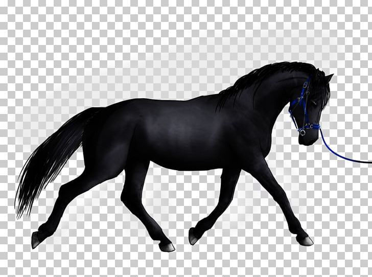 Mustang Stallion Mare Halter Rein PNG, Clipart,  Free PNG Download