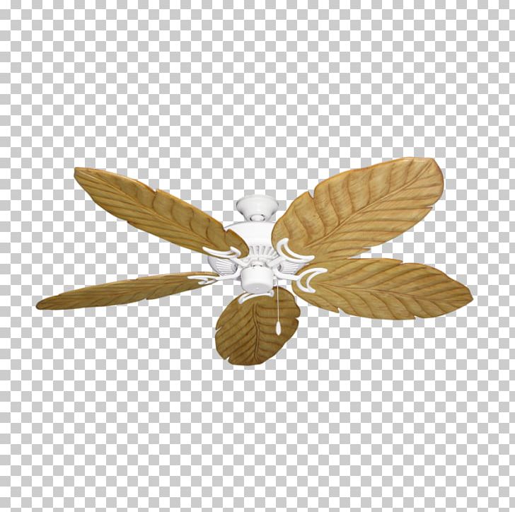 Ceiling Fans Insect Bronze Blade PNG, Clipart, Antique, Blade, Bronze, Ceiling, Ceiling Fans Free PNG Download