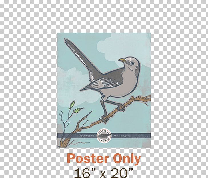 Northern Mockingbird Tennessee Texas State Bird PNG, Clipart, Animals, Beak, Bird, Bird Flight, Bird Of Prey Free PNG Download