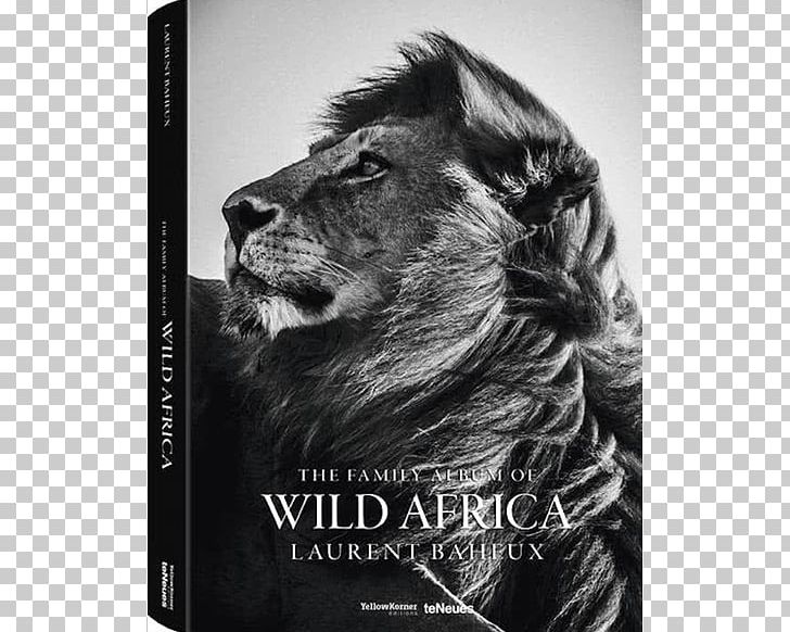 The Family Album Of Wild Africa PNG, Clipart,  Free PNG Download