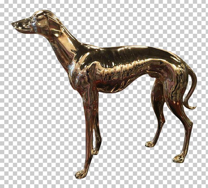 Whippet Italian Greyhound Pharaoh Hound Ark Encounter PNG, Clipart, American Staghound, Animal, Animal Sports, Ark Encounter, Ark Survival Evolved Free PNG Download