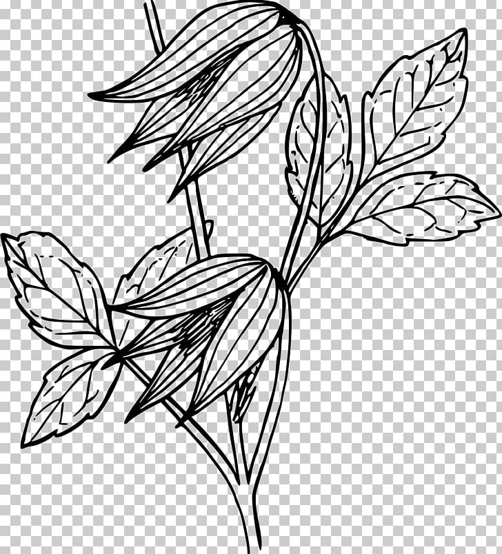 Drawing Leather Flower Vine PNG, Clipart, Art, Artwork, Black And White, Branch, Computer Icons Free PNG Download