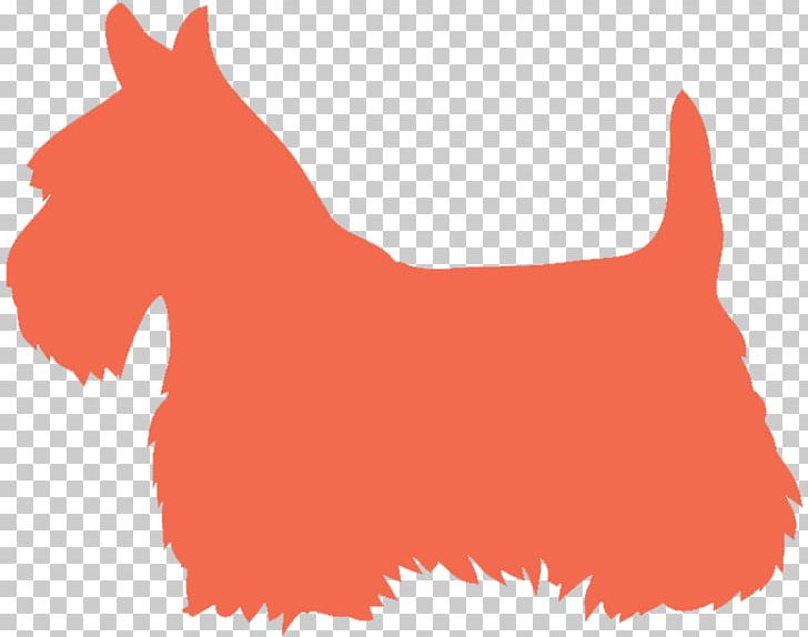 Scottish Terrier Yorkshire Terrier West Highland White Terrier Boston Terrier Jack Russell Terrier PNG, Clipart, Animals, Basset Hound, Birthday, Bulldog, Carnivoran Free PNG Download