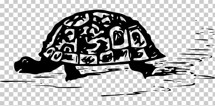 Turtle Reptile Tortoise PNG, Clipart, Animals, Art, Black, Black And White, Brand Free PNG Download