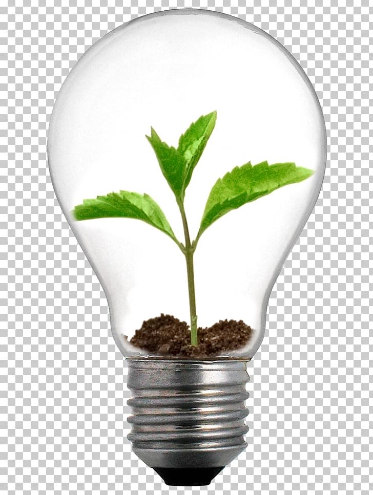 Incandescent Light Bulb Grow Light Lighting LED Lamp PNG, Clipart, Automation, Dashboards, Efficient Energy Use, Electric Light, Energy Free PNG Download