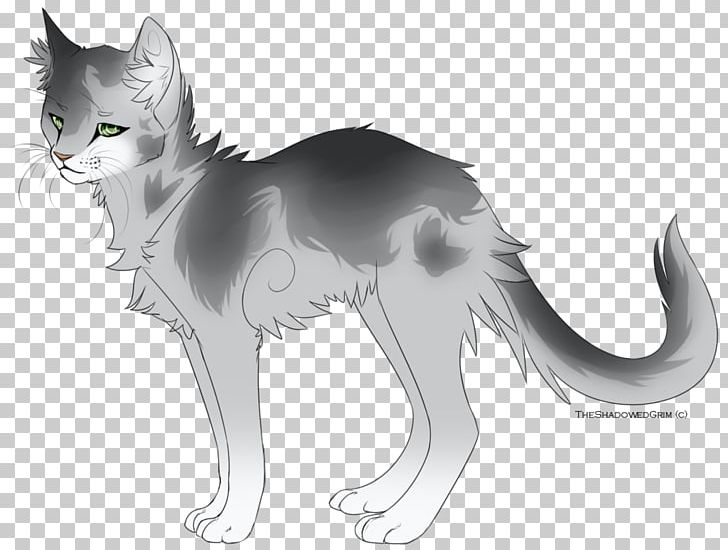 Kitten Whiskers Tortoiseshell Cat Line Art PNG, Clipart, Art, Artwork, Big Cat, Black And White, Canidae Free PNG Download