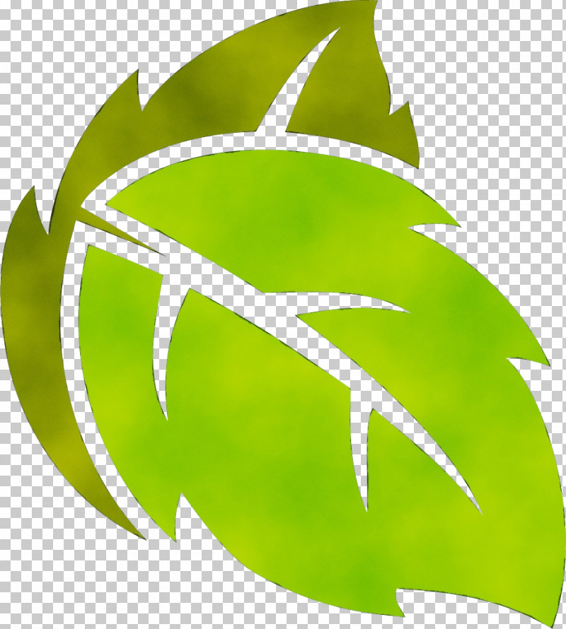 Leaf Plant Stem Green M-tree Font PNG, Clipart, Biology, Green, Leaf, Meter, Mtree Free PNG Download