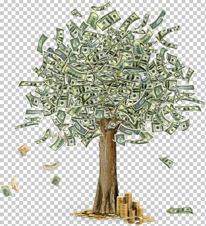 Plane PNG, Clipart, Branch, Cash, Currency, Flower, Jade Flower Free PNG Download