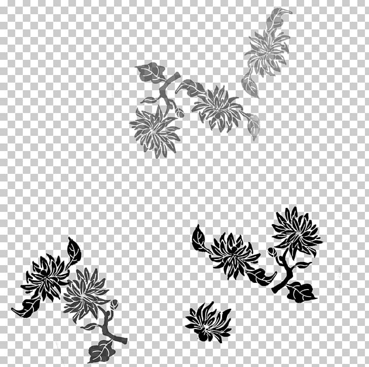Xiushui County Chrysanthemum Tea Chrysanthemum Tea U5e90u5c71u4e91u96feu8336 PNG, Clipart, Background, Background Shading, Black, Black And White, Chrysanthemum Chrysanthemum Free PNG Download
