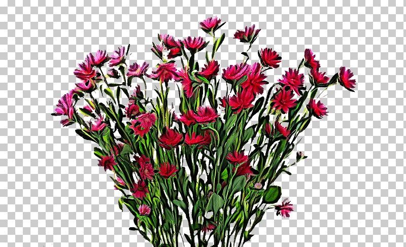 Flower Plant Cut Flowers Petal Wildflower PNG, Clipart, Bouquet, Cut Flowers, Dianthus, Flower, Ixia Free PNG Download
