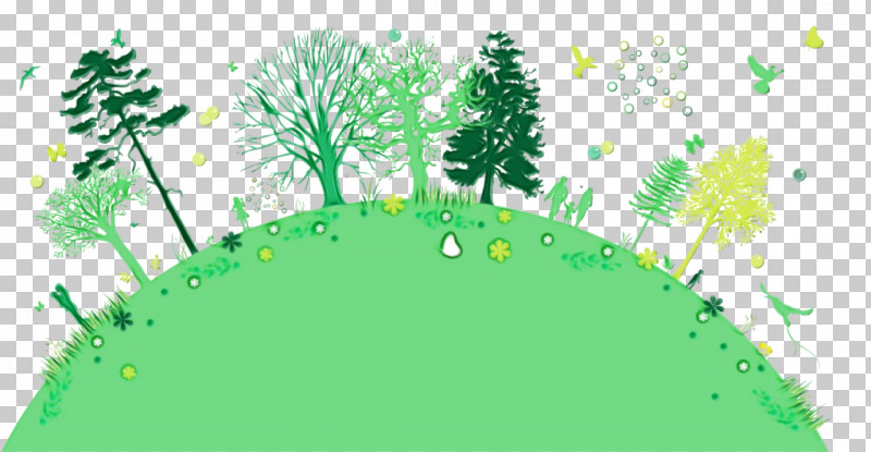 Green Nature Vegetation Leaf Tree PNG, Clipart, Branch, Conifer, Fir, Forest, Grass Free PNG Download