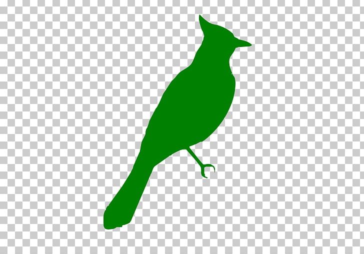 Beak Green Fauna Wildlife PNG, Clipart, Beak, Bird, Branch, Branching, Fauna Free PNG Download