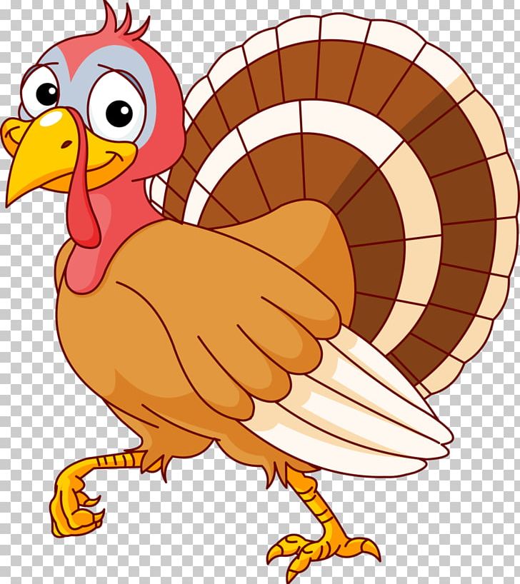 Turkey Meat Cartoon PNG, Clipart, Artwork, Beak, Bird, Cartoon, Chicken  Free PNG Download