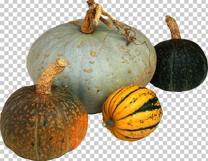 Zucchini Pumpkin Winter Squash Kabocha PNG, Clipart, Calabaza, Cucumber, Cucumber Gourd And Melon Family, Cucurbita, Cucurbita Maxima Free PNG Download