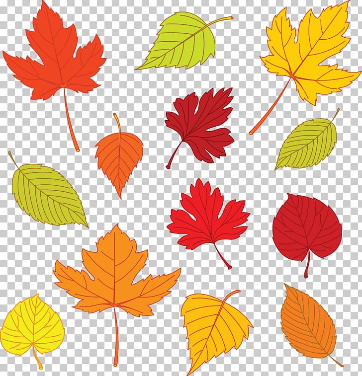 Autumn Leaf Color PNG, Clipart, Art, Autumn, Autumn Leaf Color, Autumn ...