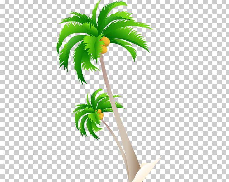 Coconut PNG, Clipart, Adobe Illustrator, Christmas Tree, Coco, Computer Graphics, Download Free PNG Download