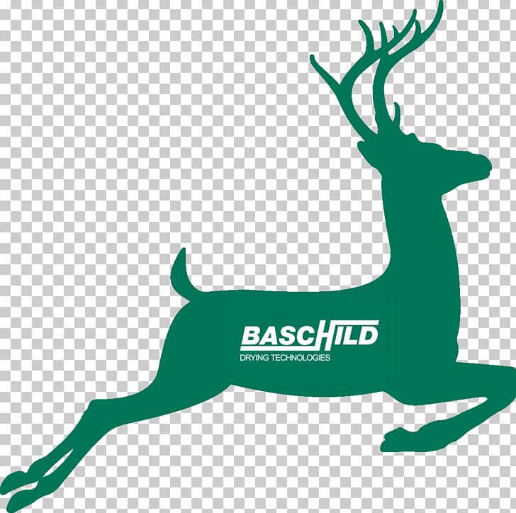 White-tailed Deer Graphics Drawing PNG, Clipart, Animals, Antler, Bumper Sticker, Cdr, Coreldraw Free PNG Download