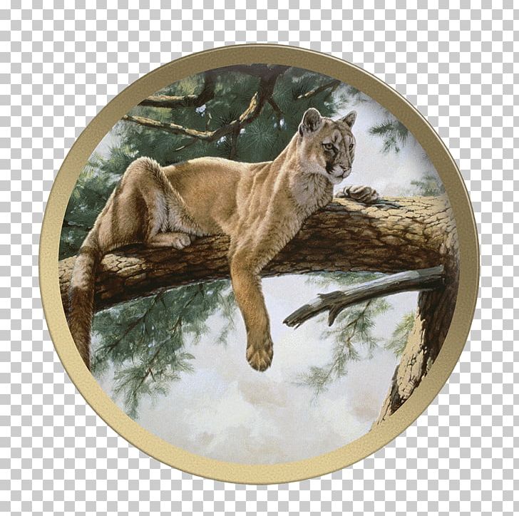 Cougar Rocky Mountain Lion Guy Coheleach's Animal Art Plate PNG, Clipart,  Free PNG Download