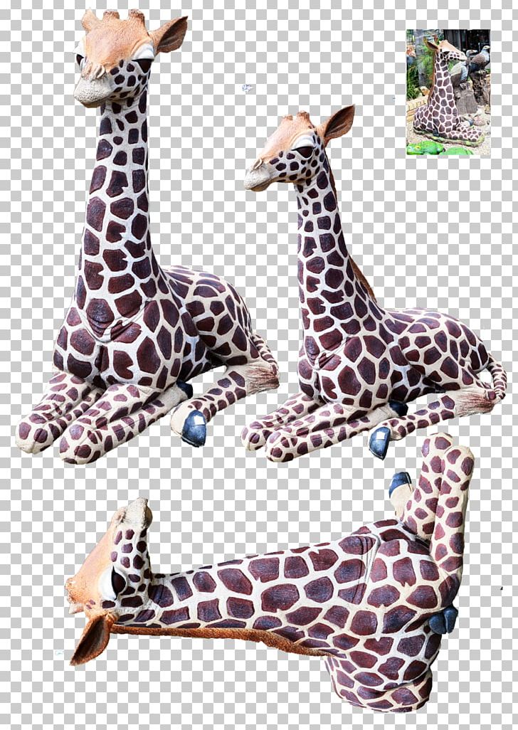 Giraffe Neck Wildlife Terrestrial Animal PNG, Clipart, Animal, Animals, Giraffe, Giraffidae, Mammal Free PNG Download