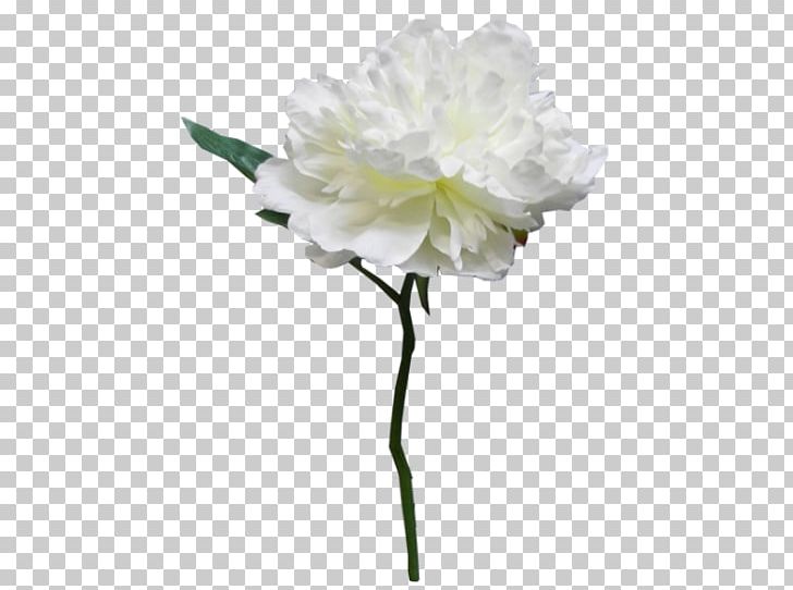 Peony Cut Flowers Rosaceae Artificial Flower PNG, Clipart, Artificial Flower, Christmas Wreath, Cut Flowers, Family, Flower Free PNG Download