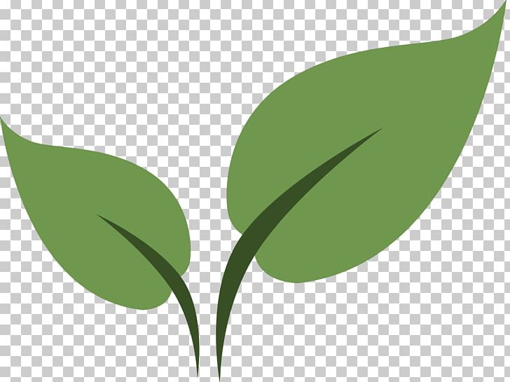 Seed Leaves Paleo F(x)™ / Health F(x)™ HQ Xeriscaping Landscaping CodePen PNG, Clipart, Austin, Aware, Branch, Codepen, Eco Free PNG Download