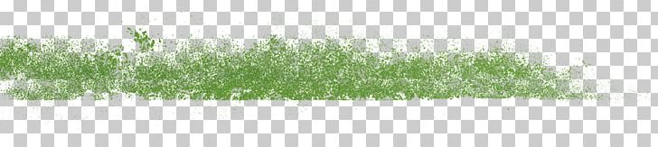 Wheatgrass Land Lot Tree Plant Stem Real Property PNG, Clipart, Grass, Grass Family, Green, Land Lot, Plant Free PNG Download