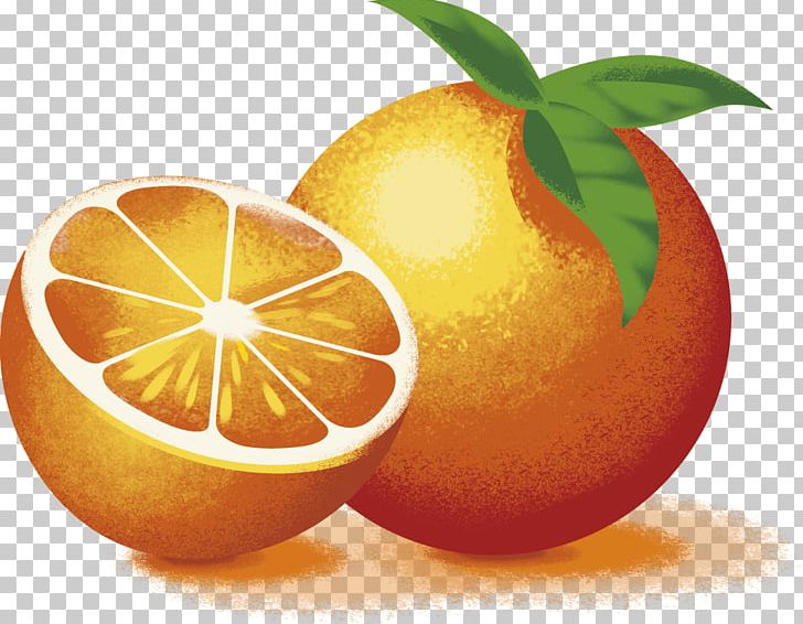 Clementine Lemon Grapefruit Tangelo Rangpur PNG, Clipart, Apple, Bitter Orange, Blood Orange, Citric Acid, Citron Free PNG Download