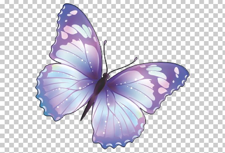 Butterfly Computer Icons PNG, Clipart, Arthropod, Brush Footed Butterfly, Butterfly, Butterfly Butterfly, Computer Icons Free PNG Download