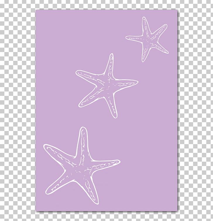 Starfish Pink M Line PNG, Clipart, Echinoderm, Invertebrate, Line, Marine Invertebrates, Pink Free PNG Download