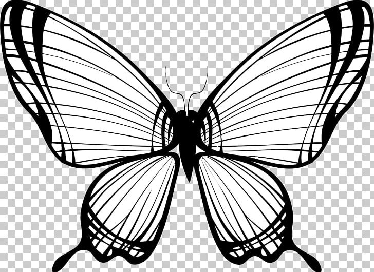 Butterfly Drawing Silhouette T-shirt PNG, Clipart, Arthropod, Artwork, Black And White, Brush Footed Butterfly, Color Free PNG Download