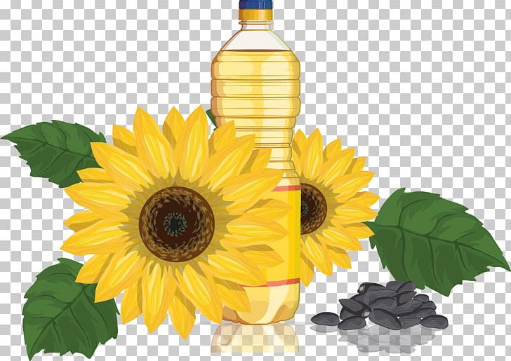 Common Sunflower Sunflower Oil Sunflower Seed PNG, Clipart, Coconut Oil, Cooking Oil, Cut Flowers, Daisy Family, Encapsulated Postscript Free PNG Download